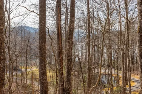 Lot 9 Splendor Cove Road Cullowhee NC 28723