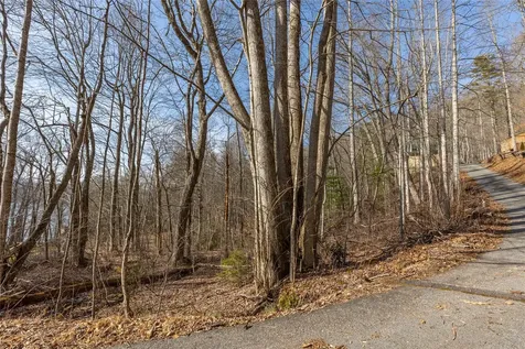 Lot 9 Splendor Cove Road Cullowhee NC 28723