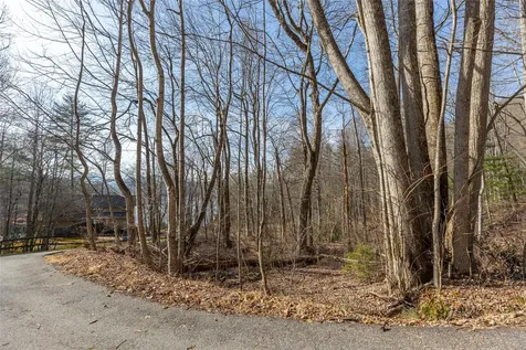 Lot 9 Splendor Cove Road Cullowhee NC 28723
