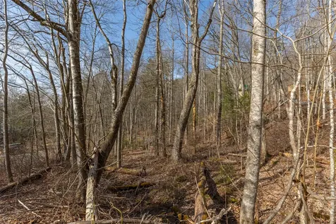 Lot 9 Splendor Cove Road Cullowhee NC 28723