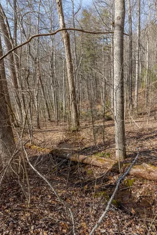Lot 9 Splendor Cove Road Cullowhee NC 28723