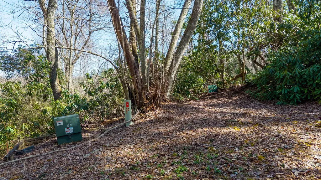 6 Norton Road Cashiers NC 28717