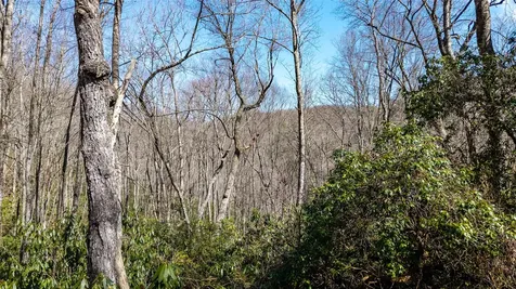 6 Norton Road Cashiers NC 28717