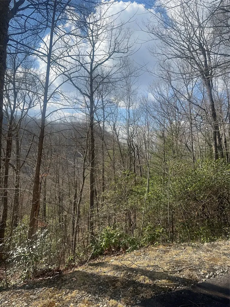 Lot 3 Ridgemont Drive Glenville NC 28736