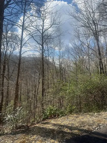 Lot 3 Ridgemont Drive Glenville NC 28736