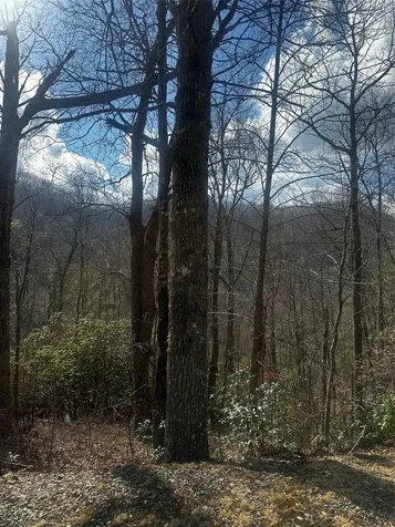 Lot 3 Ridgemont Drive Glenville NC 28736