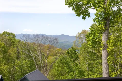 11 Milkweed Trail Glenville NC 28736