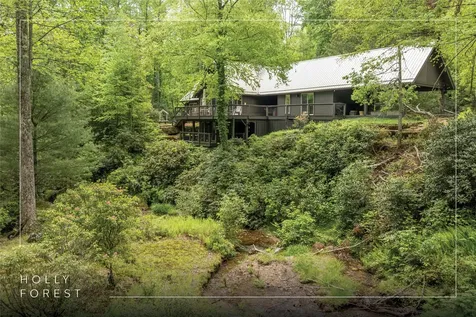 2057 Black Oak Drive Sapphire NC 28774