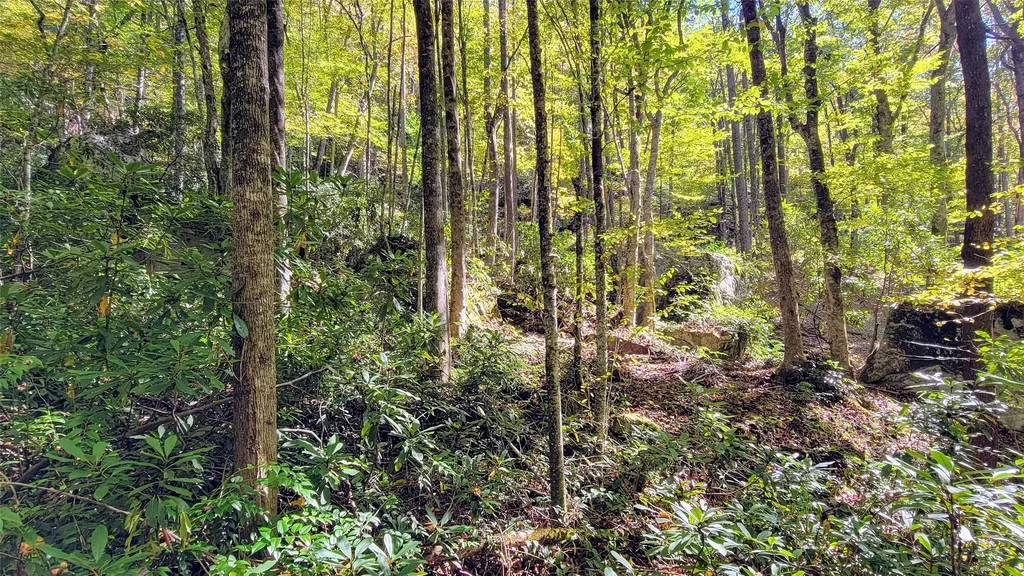 Lot Pq Spikemoss Road Sapphire NC 28774