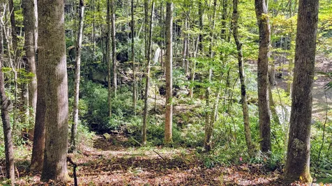 Lot Pq Spikemoss Road Sapphire NC 28774