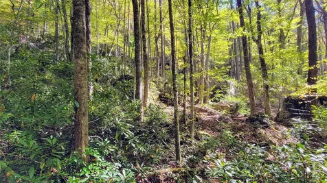 Lot Pq Spikemoss Road Sapphire NC 28774