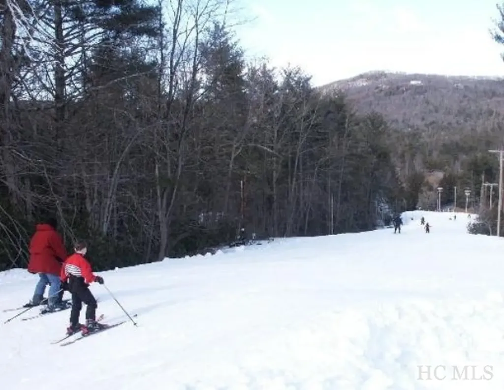 Lot 35 Hidden Grouse Lane Sapphire NC 28774