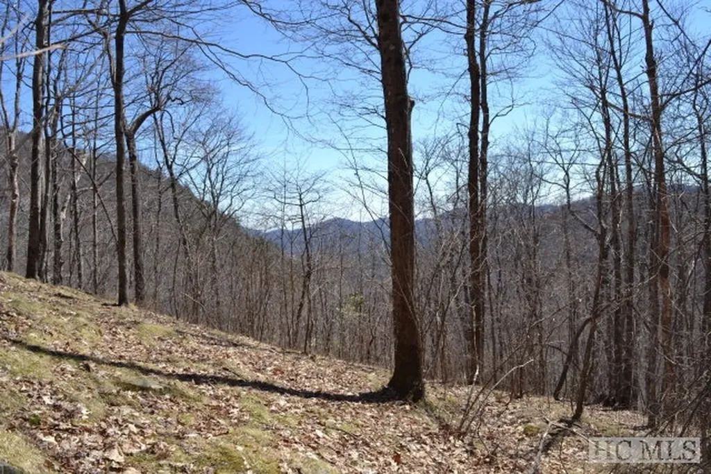 Lot 35 Hidden Grouse Lane Sapphire NC 28774
