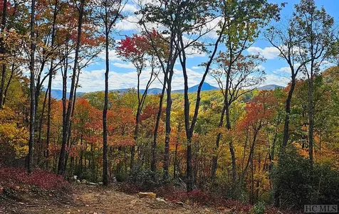 Lot 35 Hidden Grouse Lane Sapphire NC 28774