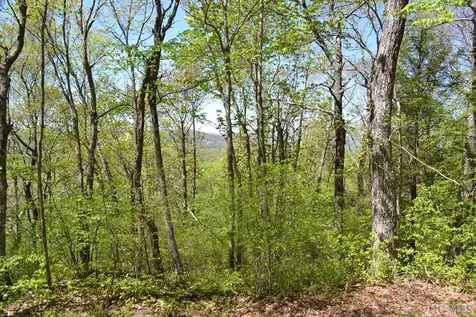 Lot 35 Hidden Grouse Lane Sapphire NC 28774
