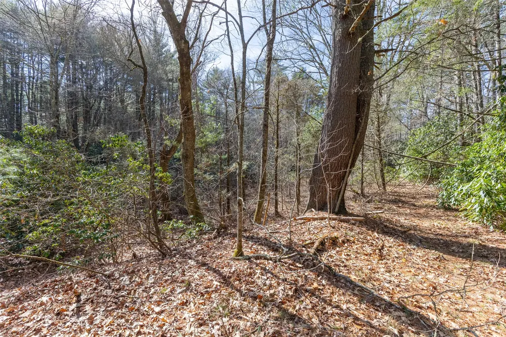 Tbd Flat Mountain Road Highlands NC 28741