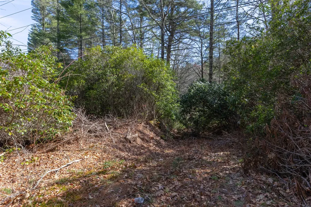 Tbd Flat Mountain Road Highlands NC 28741