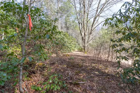 Tbd Flat Mountain Road Highlands NC 28741