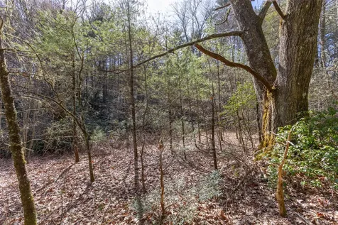 Tbd Flat Mountain Road Highlands NC 28741