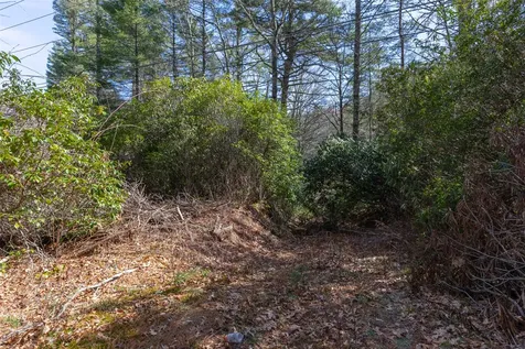 Tbd Flat Mountain Road Highlands NC 28741