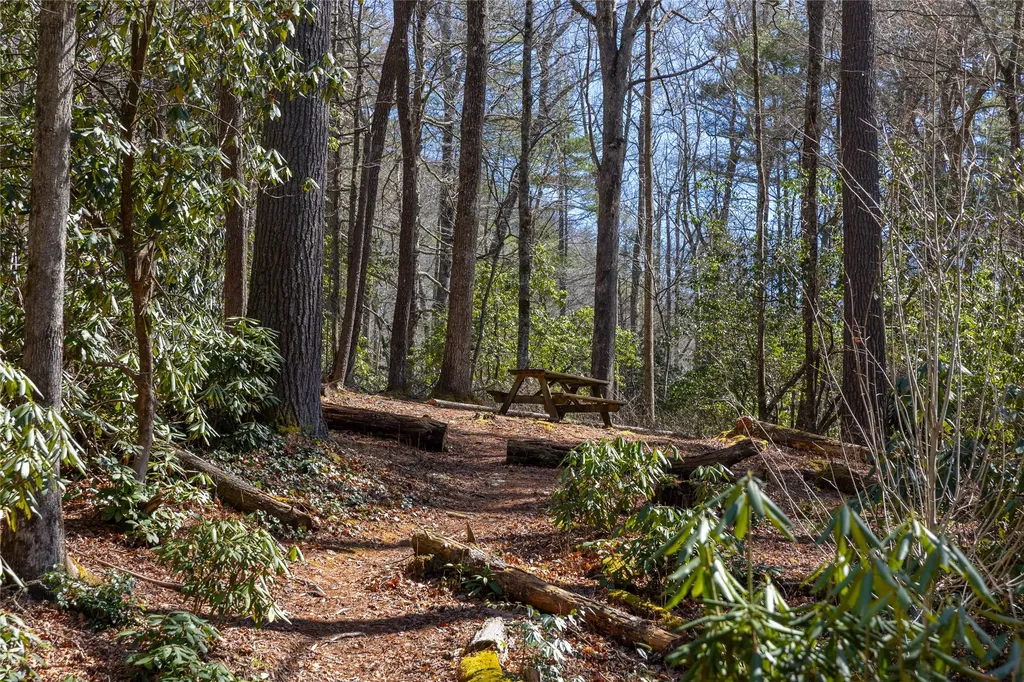 Lot 23 E Valley Drive Sapphire NC 28774