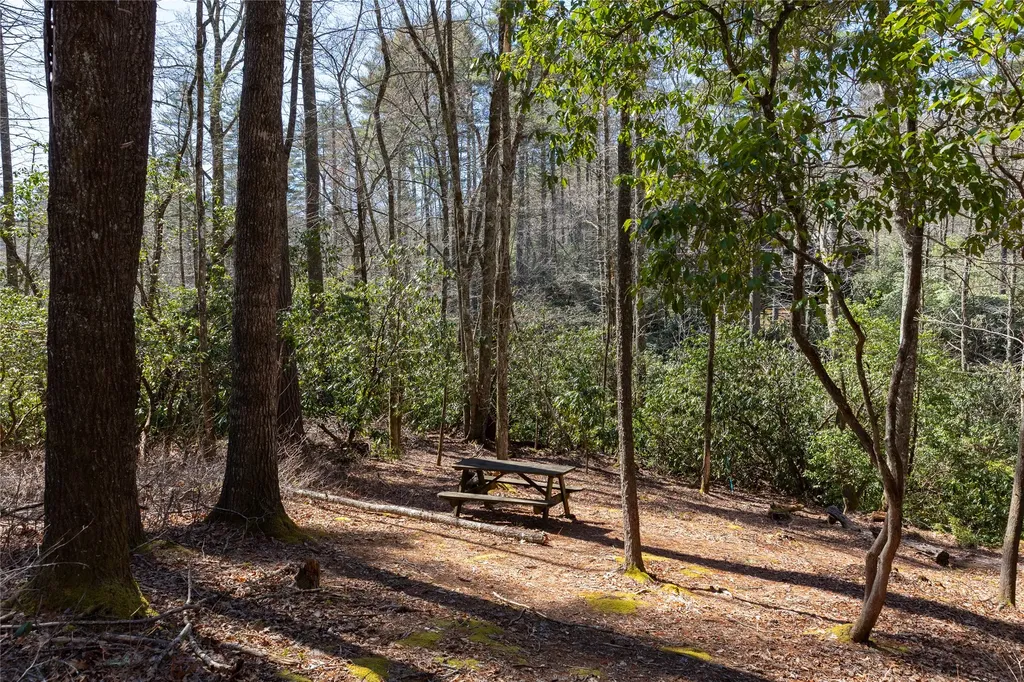 Lot 23 E Valley Drive Sapphire NC 28774