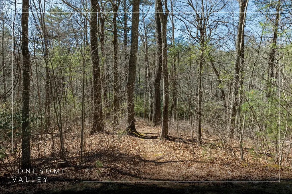 Lot 23 E Valley Drive Sapphire NC 28774
