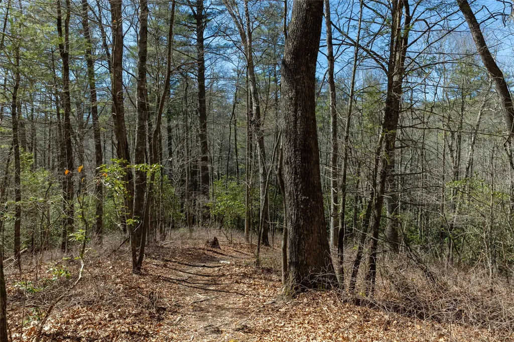 Lot 23 E Valley Drive Sapphire NC 28774