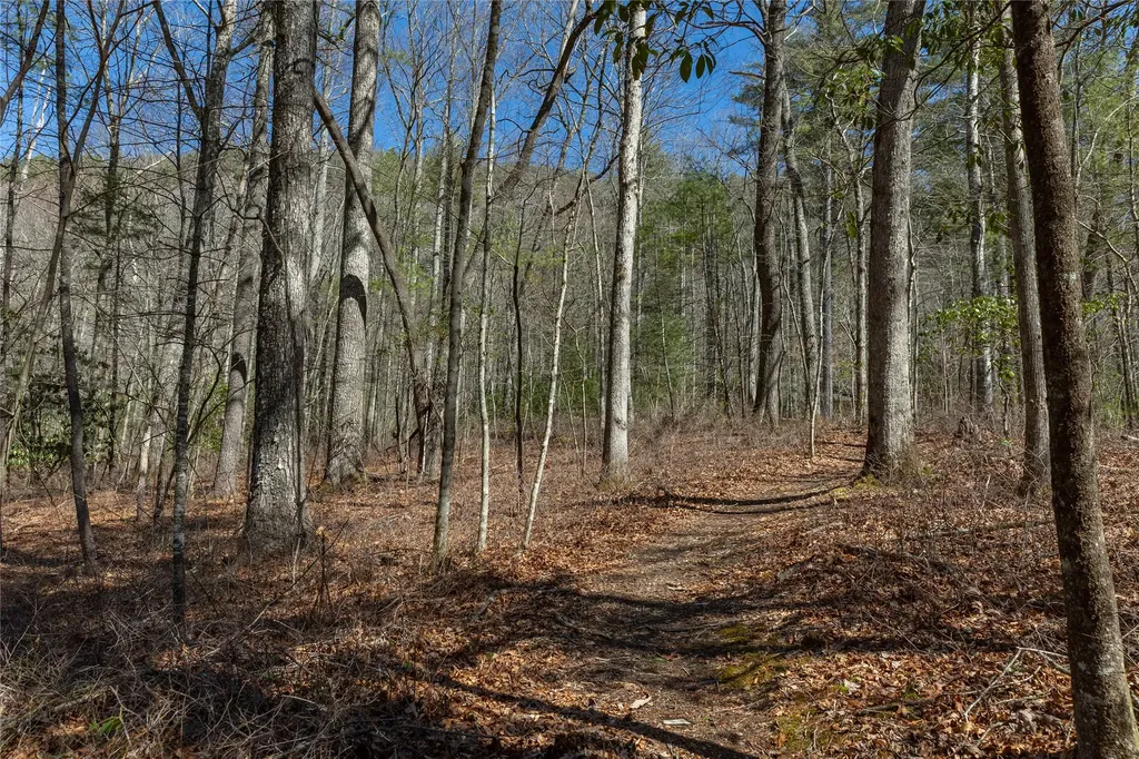 Lot 23 E Valley Drive Sapphire NC 28774