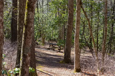 Lot 23 E Valley Drive Sapphire NC 28774