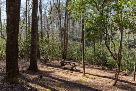 Lot 23 E Valley Drive Sapphire NC 28774