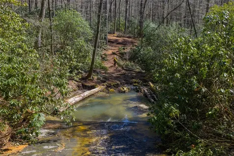 Lot 23 E Valley Drive Sapphire NC 28774
