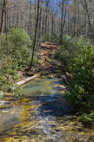 Lot 23 E Valley Drive Sapphire NC 28774