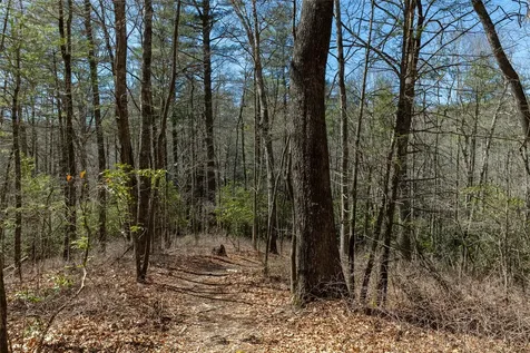 Lot 23 E Valley Drive Sapphire NC 28774