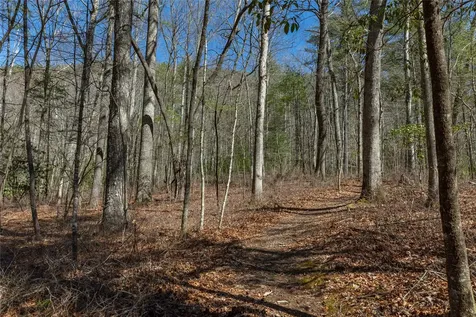 Lot 23 E Valley Drive Sapphire NC 28774