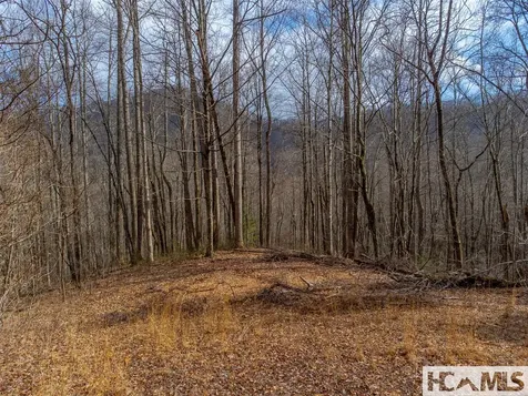 00 Henry Road Franklin NC 28734