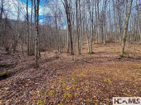 00 Henry Road Franklin NC 28734