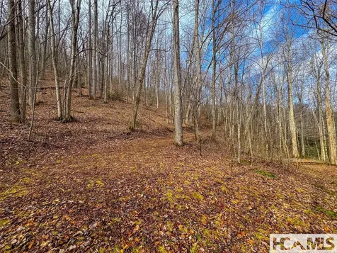 00 Henry Road Franklin NC 28734