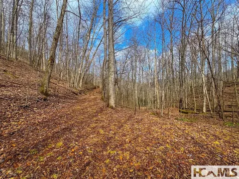 00 Henry Road Franklin NC 28734
