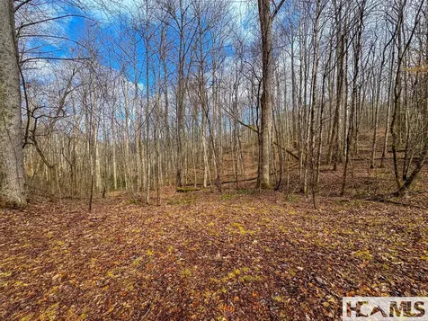 00 Henry Road Franklin NC 28734