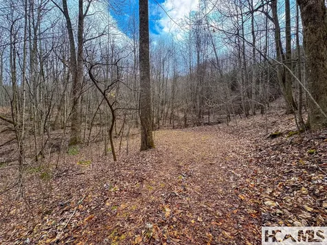 00 Henry Road Franklin NC 28734
