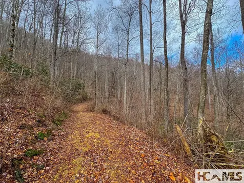 00 Henry Road Franklin NC 28734