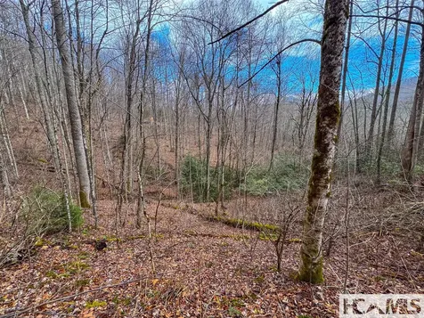 00 Henry Road Franklin NC 28734