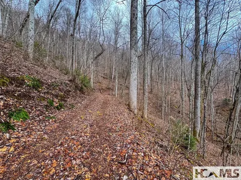 00 Henry Road Franklin NC 28734