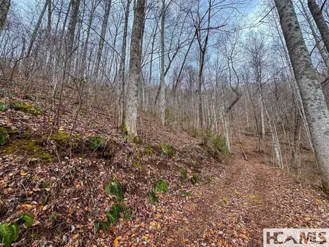 00 Henry Road Franklin NC 28734