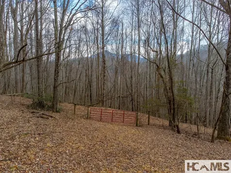 00 Henry Road Franklin NC 28734