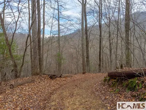 00 Henry Road Franklin NC 28734