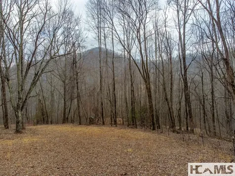 00 Henry Road Franklin NC 28734