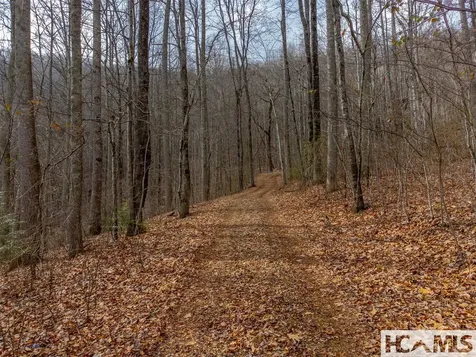 00 Henry Road Franklin NC 28734