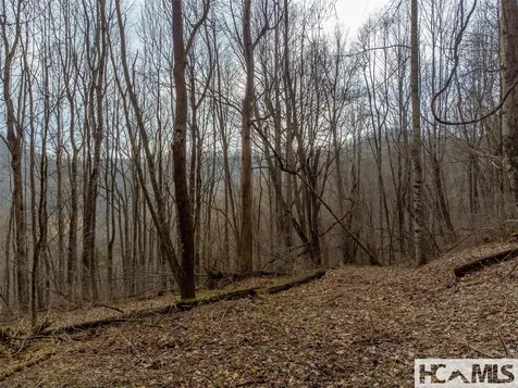 00 Henry Road Franklin NC 28734